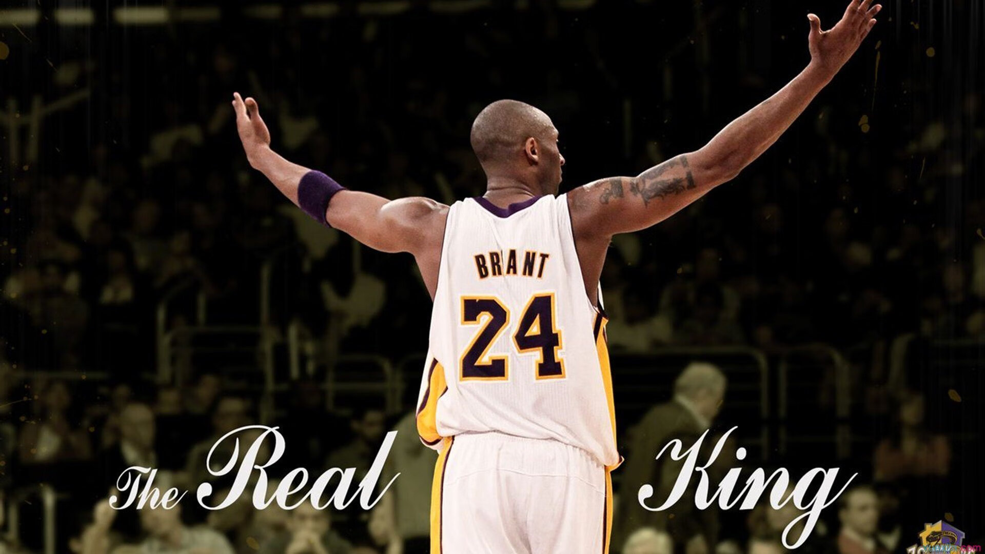 C罗迎来十五赛季出色发挥,中国队观众热烈欢呼!赛场气氛高涨